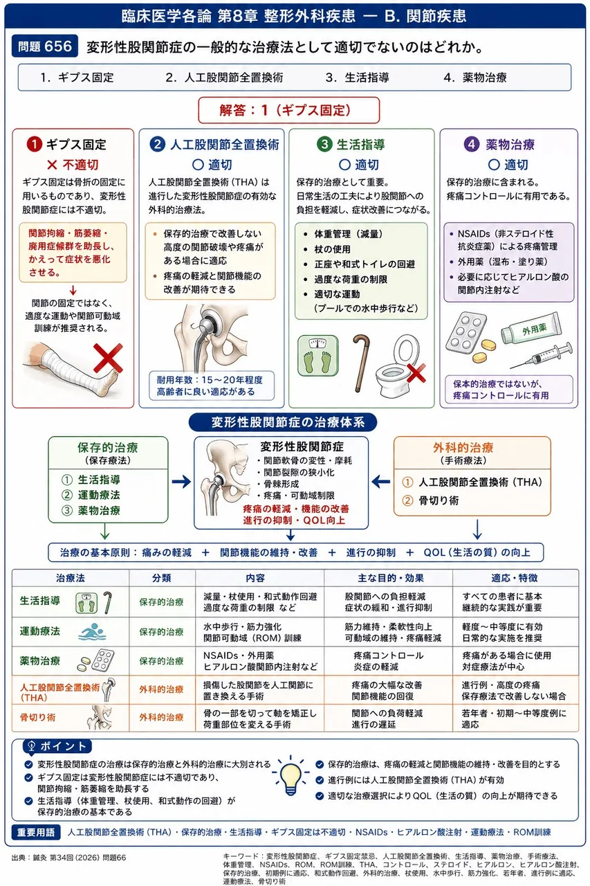 鍼灸 第34回(2026) 問題66｜変形性股関節症の一般的な治療法として適切でないのはどれか。 解説図