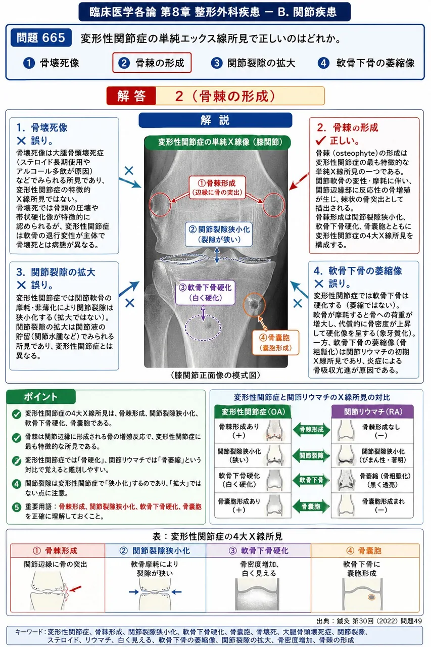 鍼灸 第30回(2022) 問題49｜変形性関節症の単純エックス線所見で正しいのはどれか。 解説図