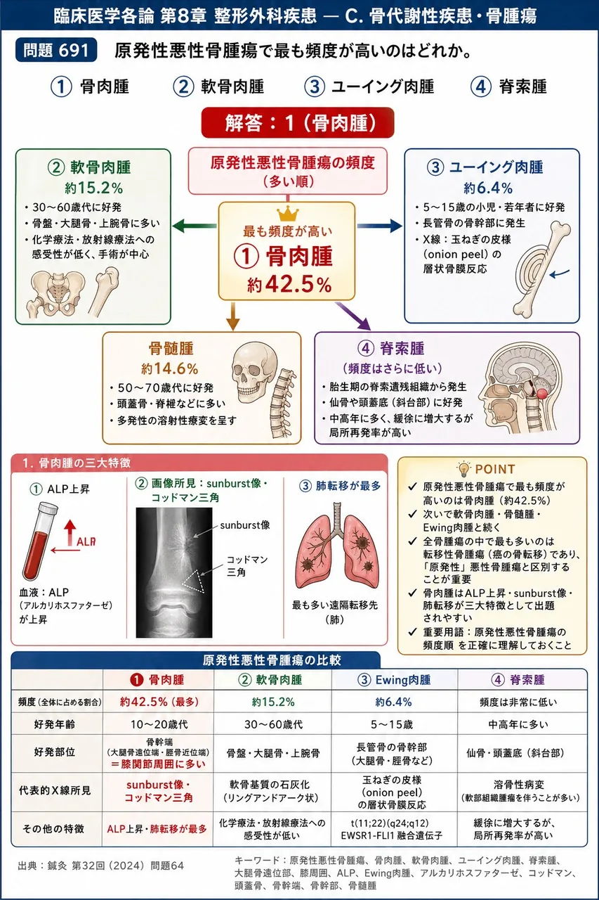 鍼灸 第32回(2024) 問題64｜原発性悪性骨腫瘍で最も頻度が高いのはどれか。 解説図