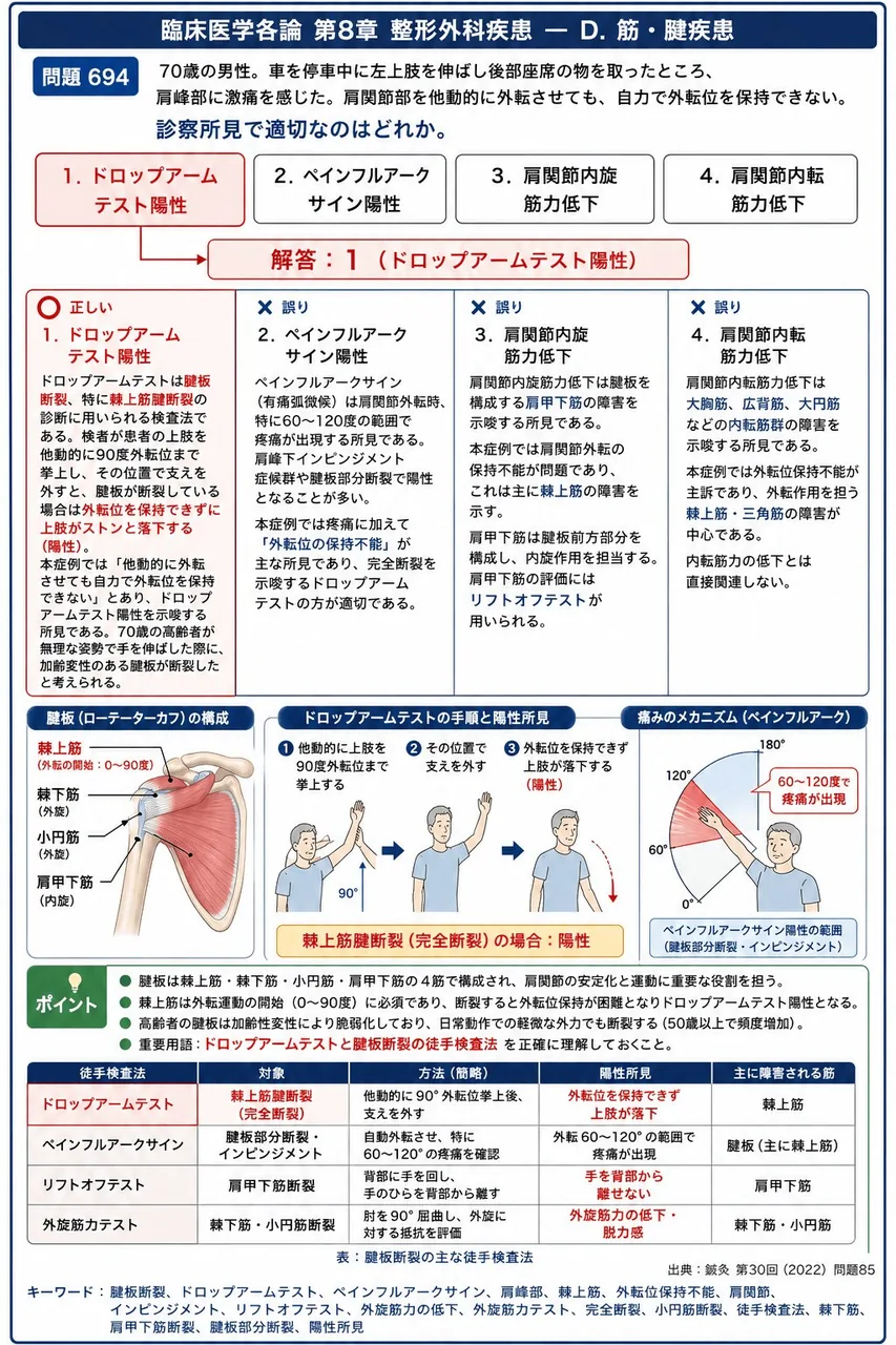 鍼灸 第30回(2022) 問題85｜「70歳の男性。車を停車中に左上肢を伸ばし後部座席の物を取ったところ、肩峰部に激痛を感じた。肩関節部を他動的に外転させても、自力で外転位を保持できない。」診察所見で適切なのはどれか。 解説図