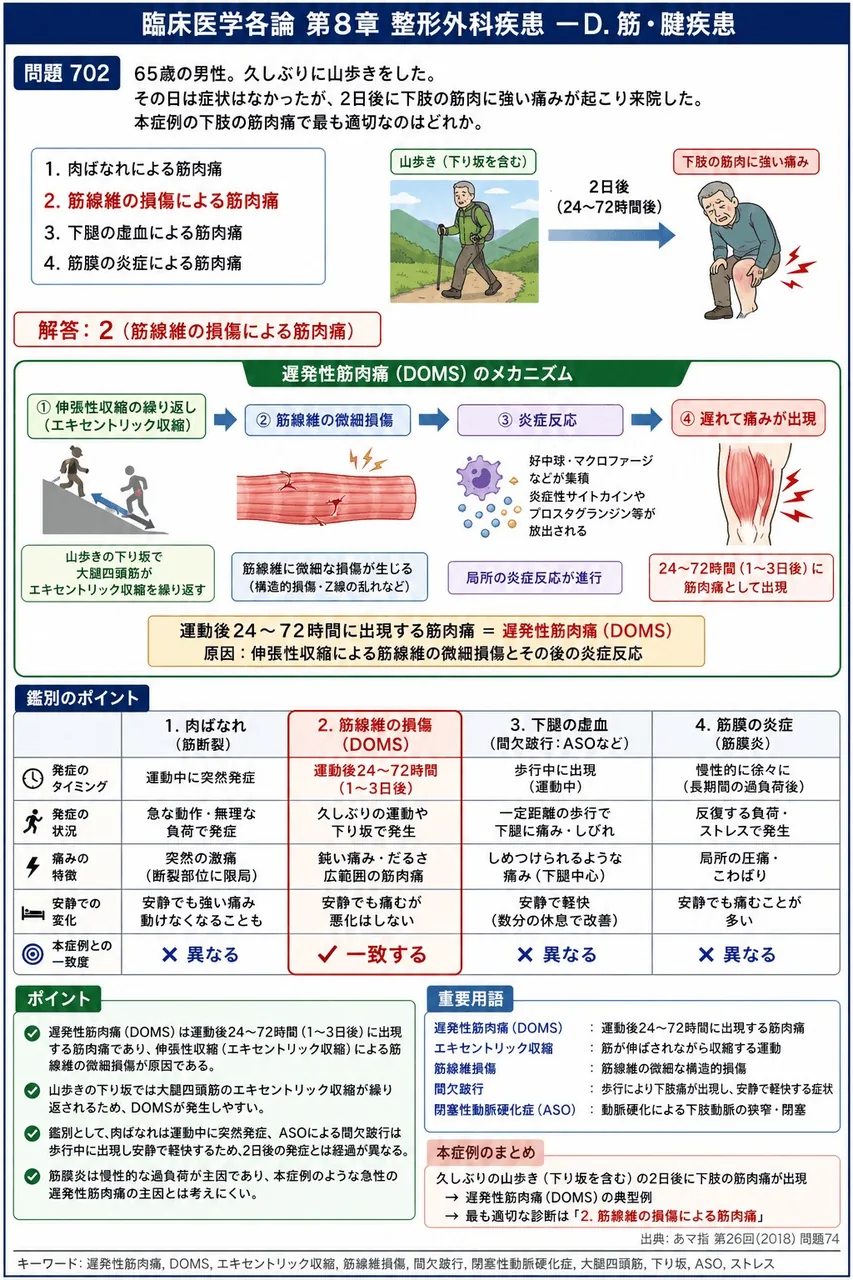 あマ指 第26回(2018) 問題74｜「６５歳の男性。久しぶりに山歩きをした。その日は症状はなかったが、２日後に下肢の筋肉に強い痛みが起こり来院した｡」本症例の下肢の筋肉痛で最も適切なのはどれか。 解説図