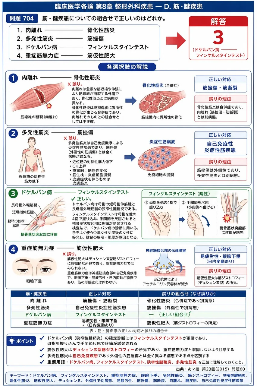 あマ指 第23回(2015) 問題60|筋・健疾患についての組合せで正しいのはどれか。 解説図