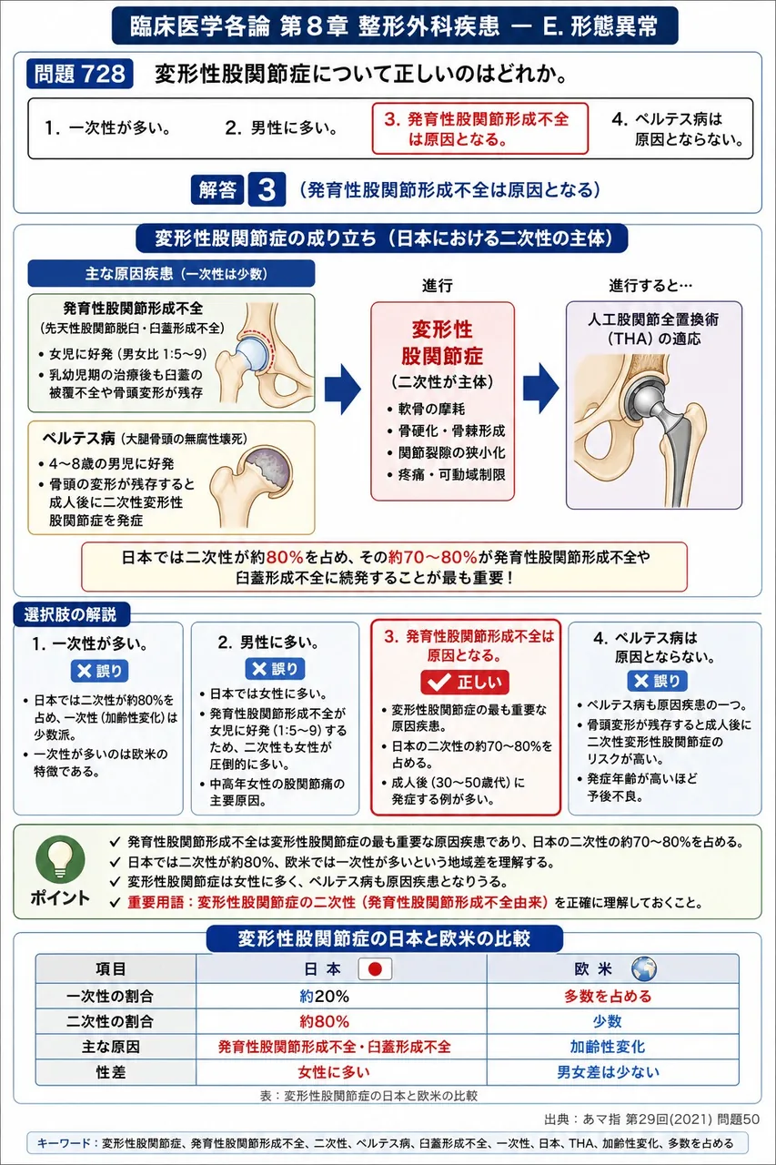 あマ指 第29回(2021) 問題50｜変形性股関節症について正しいのはどれか。 解説図