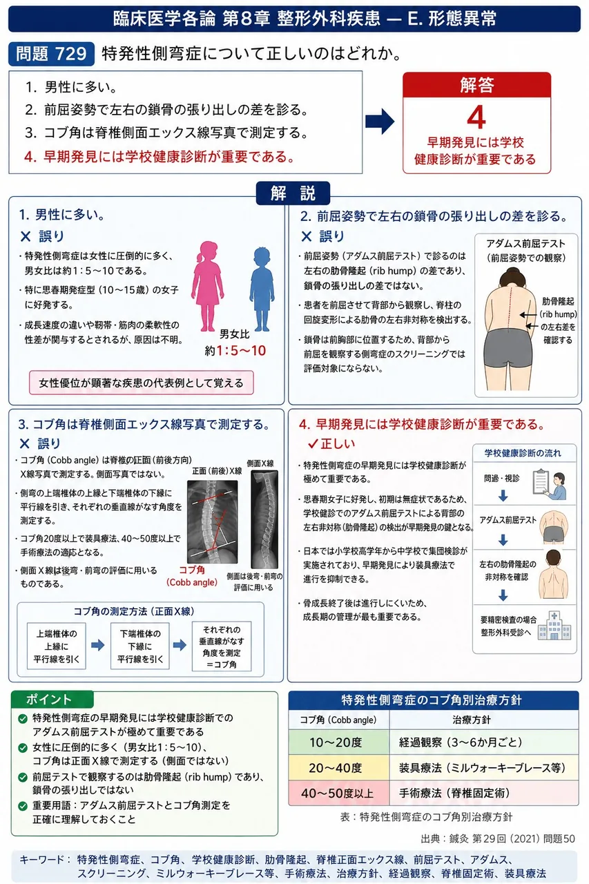 鍼灸 第29回(2021) 問題50｜特発性側弯症について正しいのはどれか。 解説図