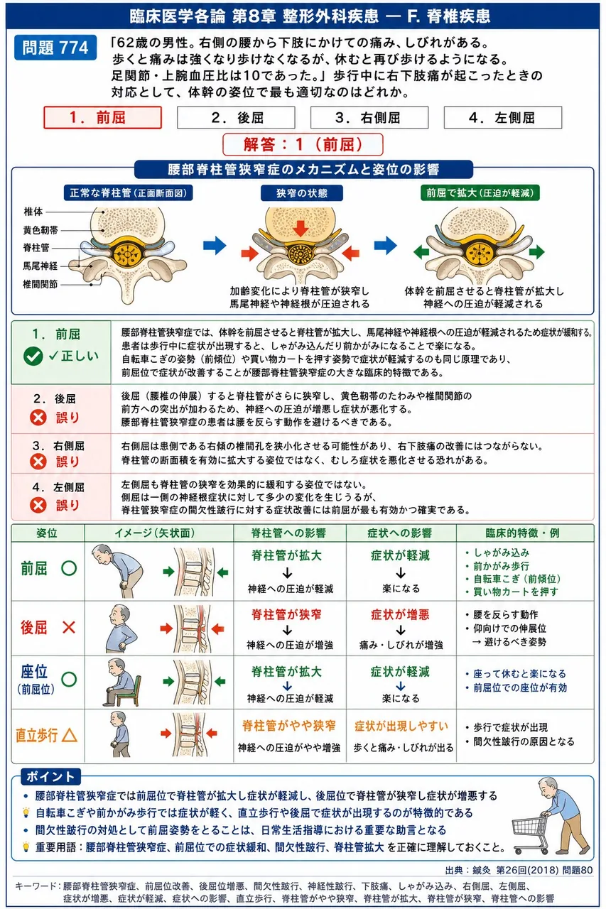 鍼灸 第26回(2018) 問題80｜｢62歳の男性。右側の腰から下肢にかけての痛み、しびれがある。歩くと痛みは強くなり歩けなくなるが、休むと再び歩けるようになる。足関節・上腕血圧比は10であった｡」歩行中に右下肢痛が起こったときの対応として、体幹の姿位で最も適切なのはどれか。 解説図