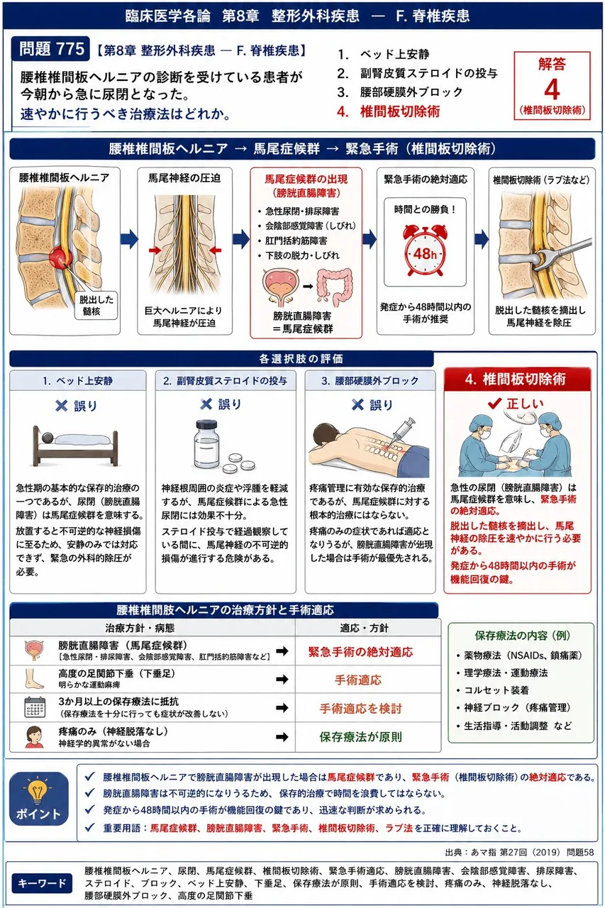 あマ指 第27回(2019) 問題58｜腰椎椎間板ヘルニアの診断を受けている患者が今朝から急に尿閉となった。速やかに行うべき治療法はどれか。 解説図