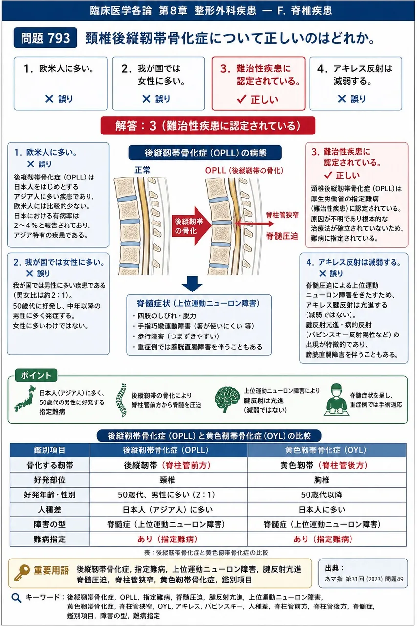 あマ指 第31回(2023) 問題49|頸椎後縦靱帯骨化症について正しいのはどれか。 解説図