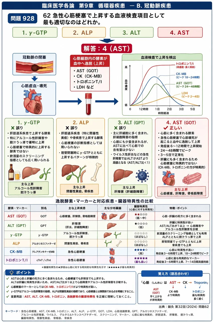 鍼灸 第32回(2024) 問題62｜62 急性心筋梗塞で上昇する血液検査項目として最も適切なのはどれか。 解説図