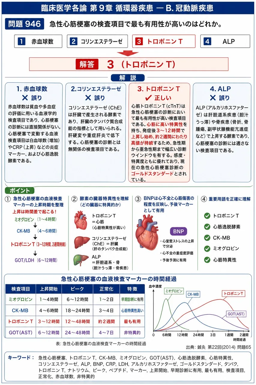 鍼灸 第22回(2014) 問題65｜急性心筋梗塞の検査項目で最も有用性が高いのはどれか。 解説図
