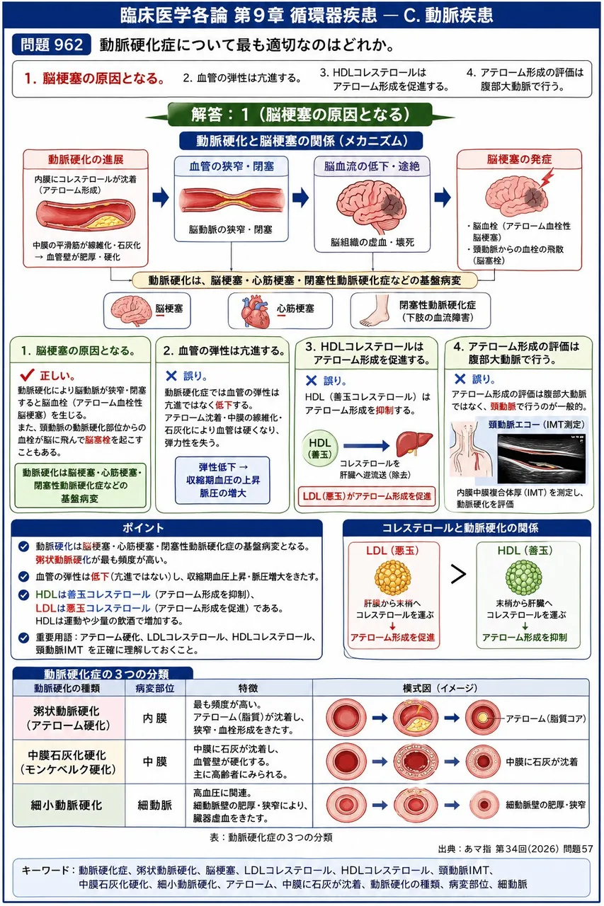 あマ指 第34回(2026) 問題57｜動脈硬化症について最も適切なのはどれか。 解説図