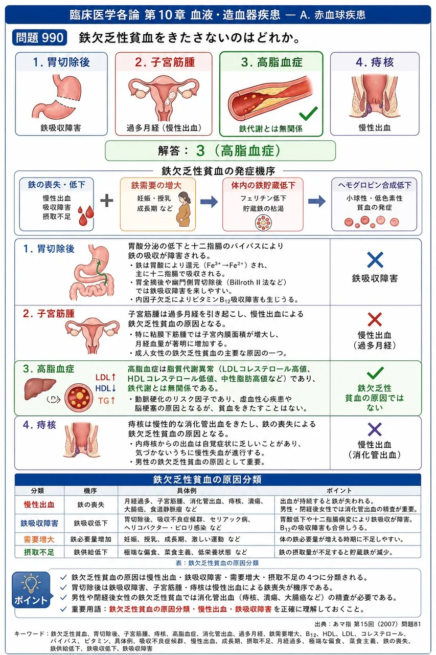 あマ指 第15回(2007) 問題81｜鉄欠乏性貧血をきたさないのはどれか。 解説図