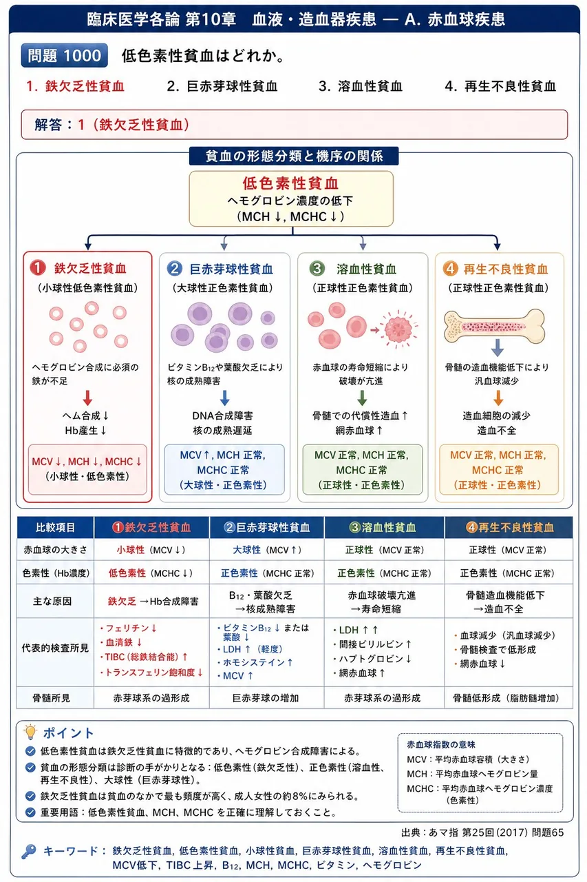 あマ指 第25回(2017) 問題65｜低色素性貧血はどれか。 解説図