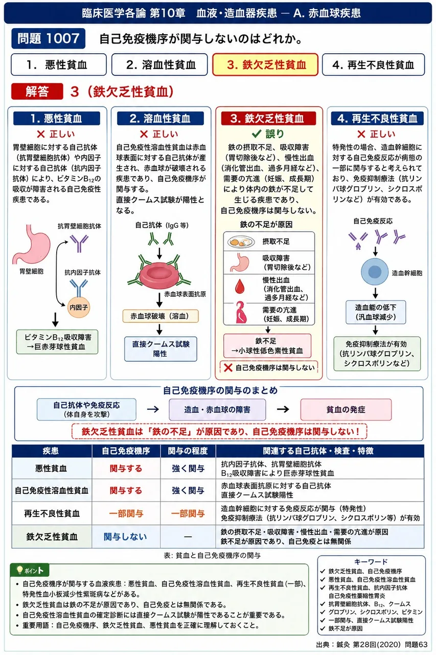 鍼灸 第28回(2020) 問題63|自己免疫機序が関与しないのはどれか。 解説図