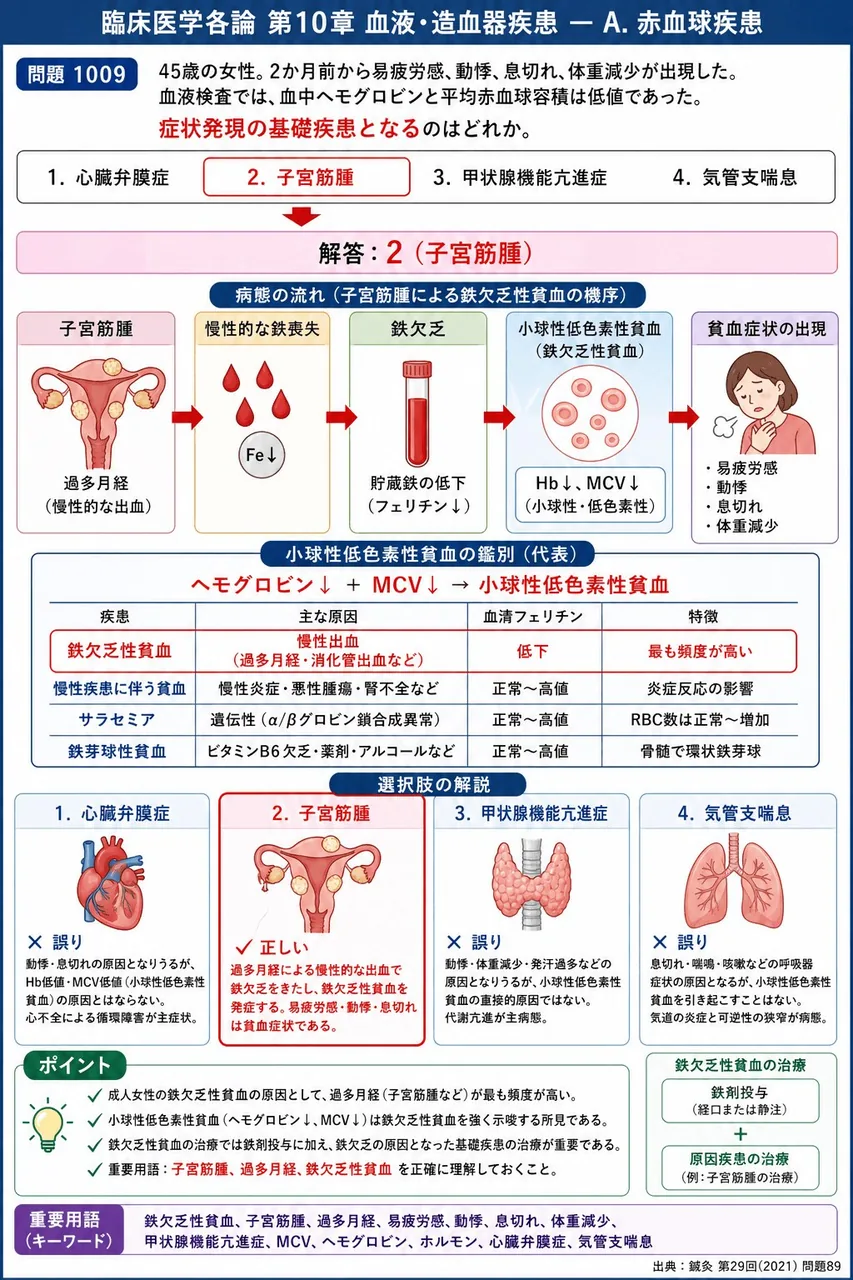 鍼灸 第29回(2021) 問題89｜「45歳の女性。2か月前から易疲労感、動悸、息切れ、体重減少が出現した。血液検査では、血中ヘモグロビンと平均赤血球容積は低値であった。」症状発現の基礎疾患となるのはどれか。 解説図