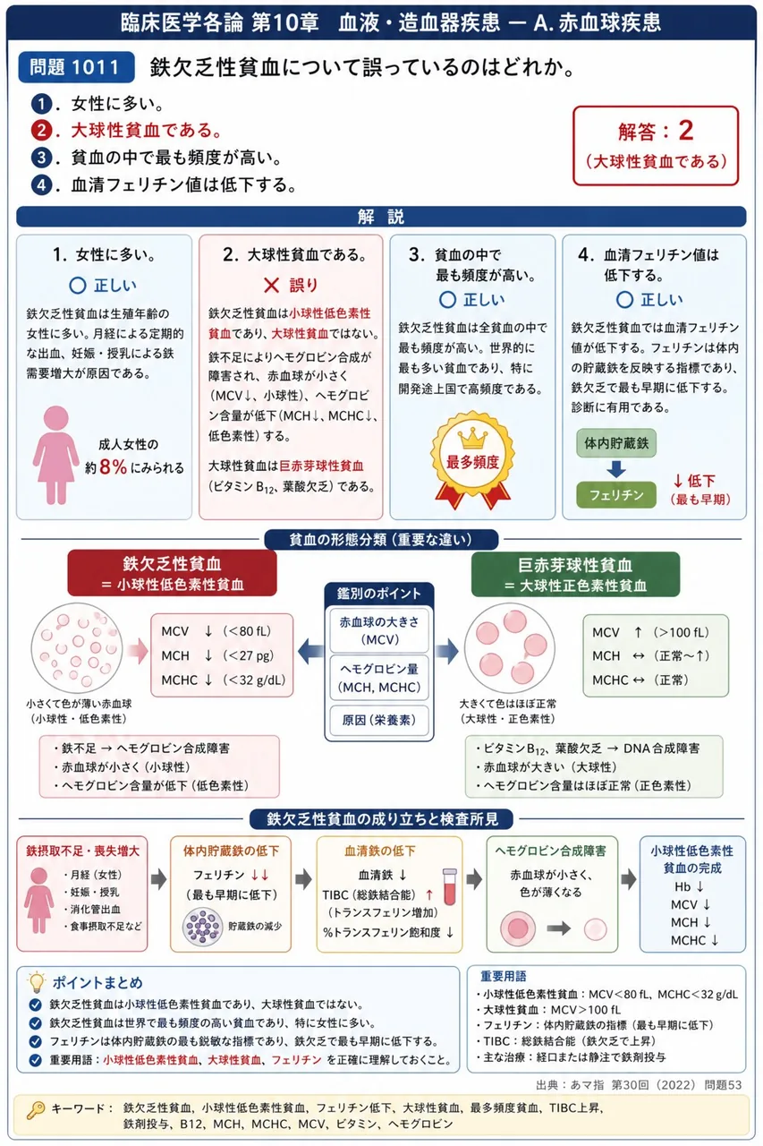 あマ指 第30回(2022) 問題53｜鉄欠乏性貧血について誤っているのはどれか。 解説図