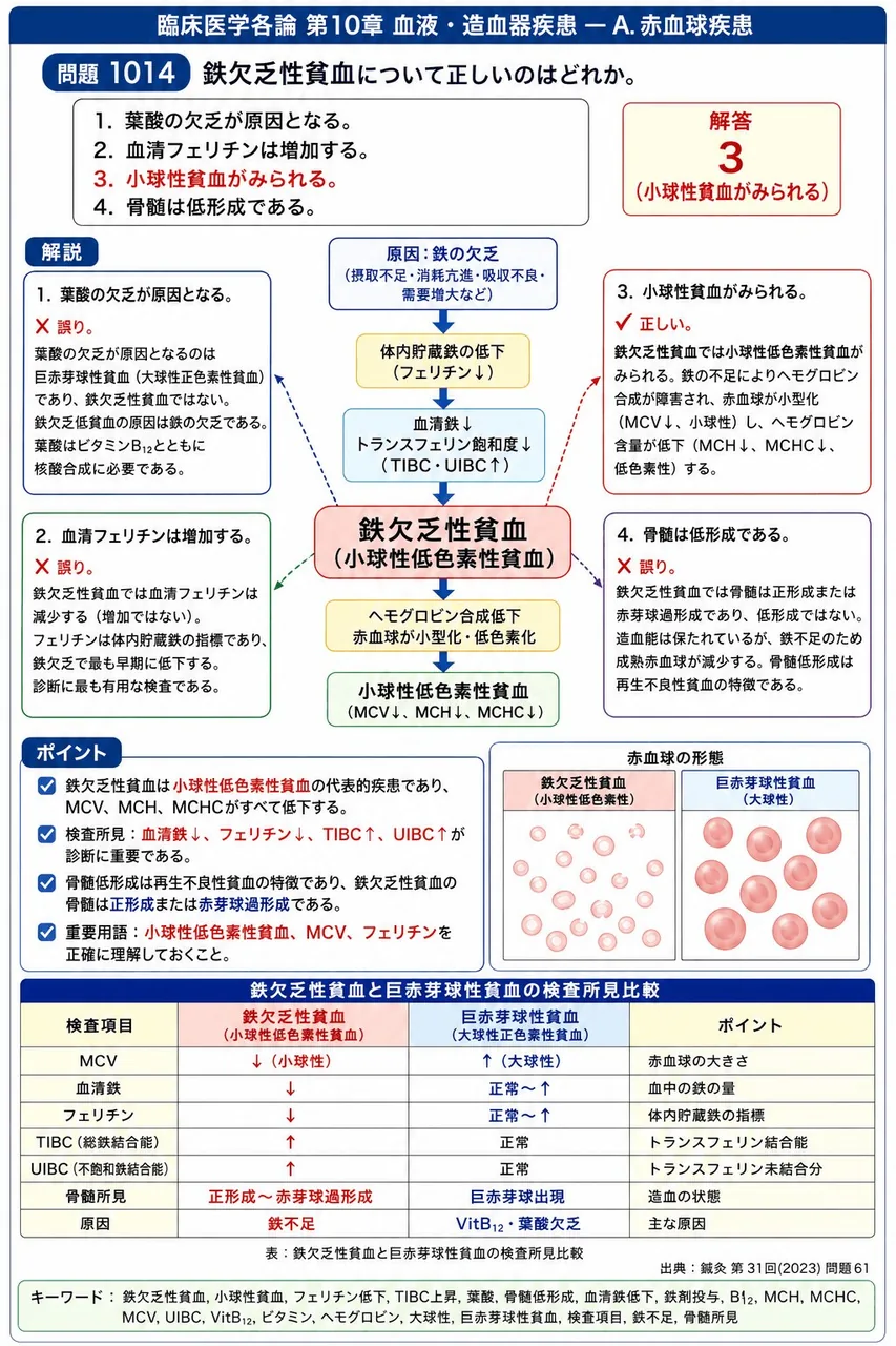鍼灸 第31回(2023) 問題61|鉄欠乏性貧血について正しいのはどれか。 解説図