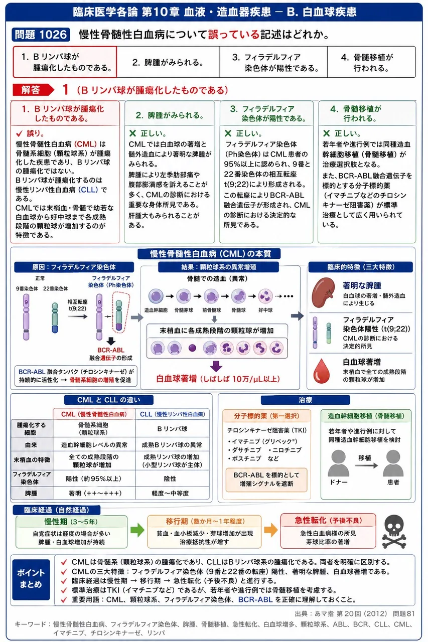 あマ指 第20回(2012) 問題81｜慢性骨髄性白血病について誤っている記述はどれか。 解説図