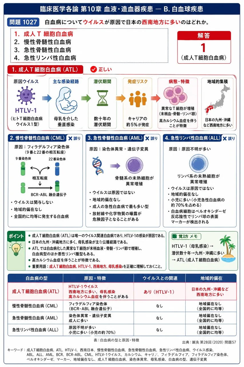 鍼灸 第28回(2020) 問題57|白血病についてウイルスが原因で日本の西南地方に多いのはどれか。 解説図