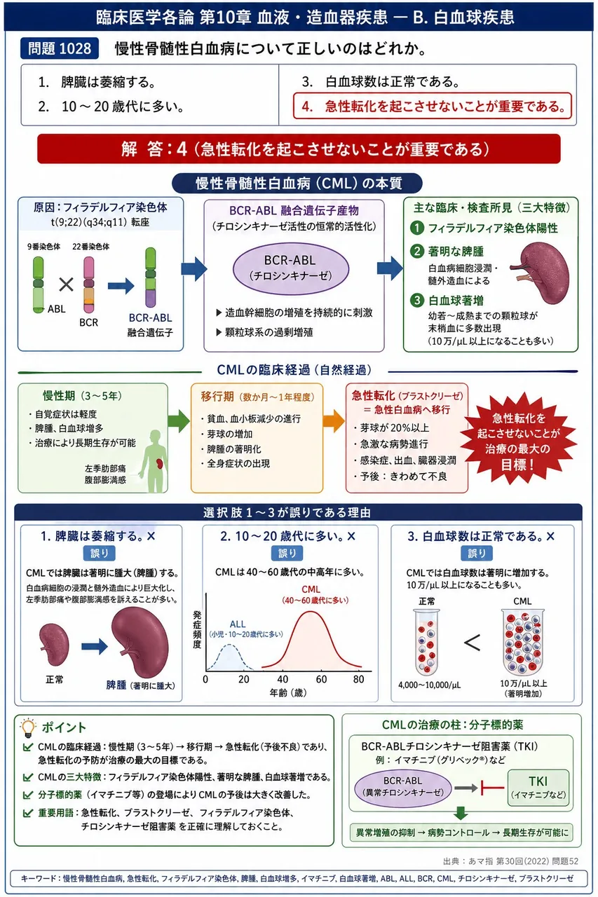 あマ指 第30回(2022) 問題52｜慢性骨髄性白血病について正しいのはどれか。 解説図