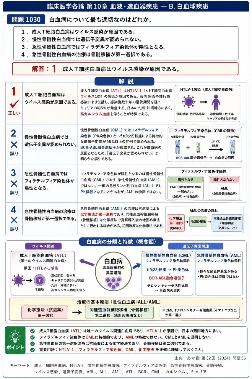 あマ指 第32回(2024) 問題56｜白血病について最も適切なのはどれか。 解説図
