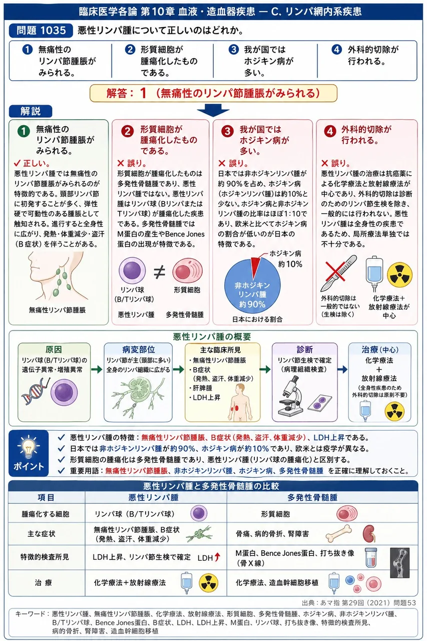 あマ指 第29回(2021) 問題53|悪性リンパ腫について正しいのはどれか。 解説図