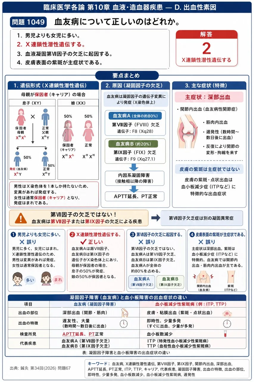 鍼灸 第34回(2026) 問題67｜血友病について正しいのはどれか。 解説図