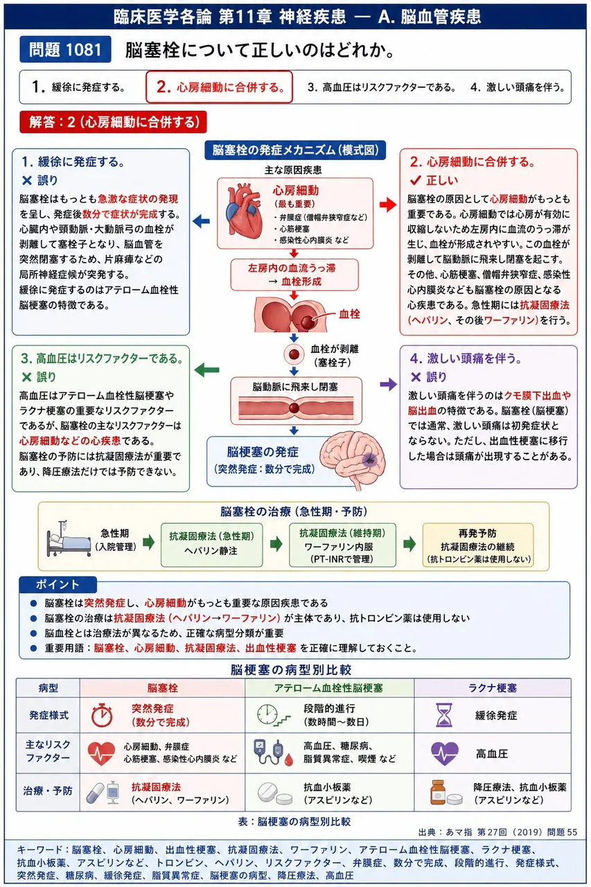 あマ指 第27回(2019) 問題55｜脳塞栓について正しいのはどれか。 解説図