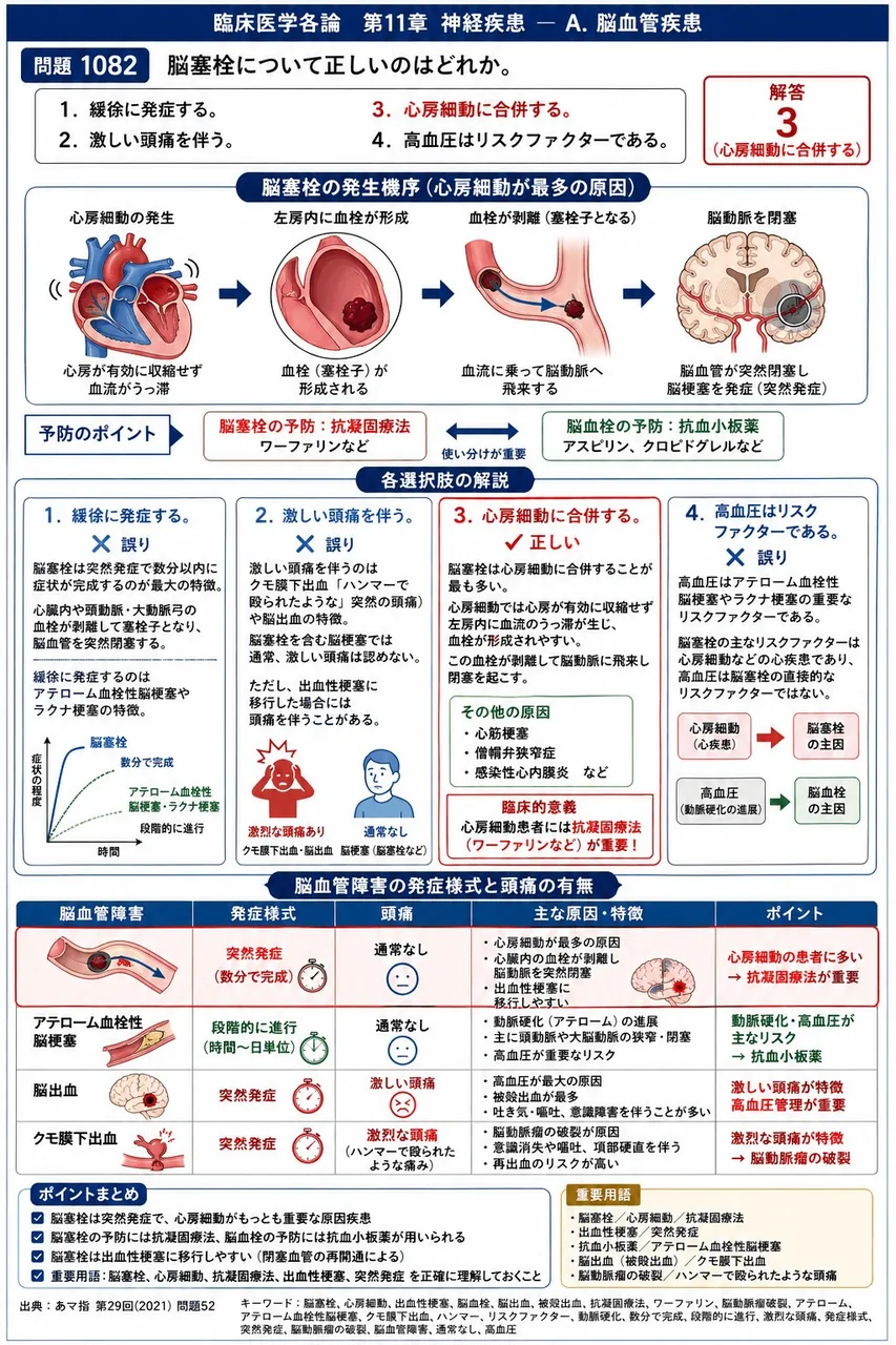 あマ指 第29回(2021) 問題52｜脳塞栓について正しいのはどれか。 解説図