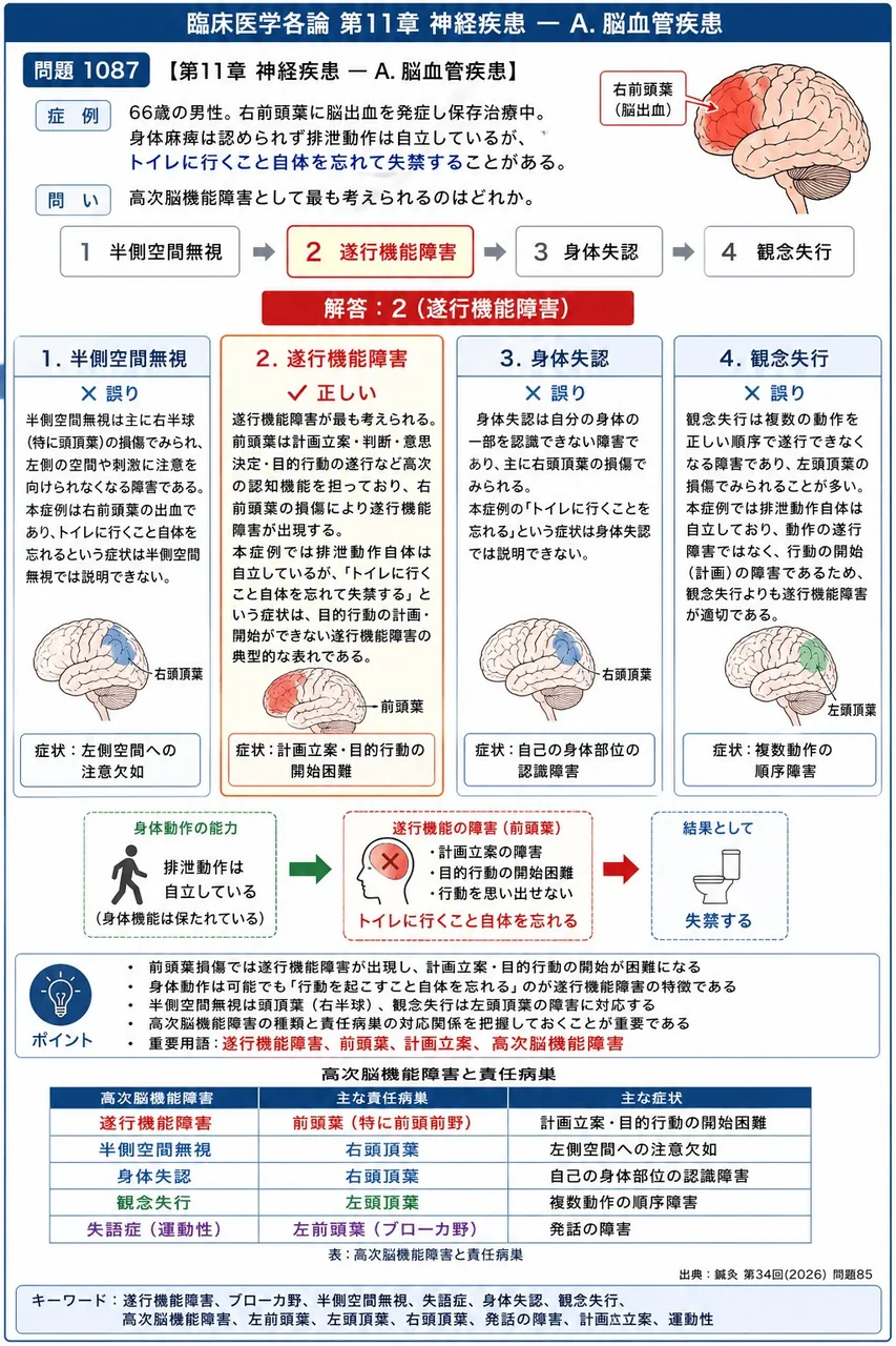 鍼灸 第34回(2026) 問題85｜「66歳の男性。右前頭葉に脳出血を発症し保存治療中。身体麻痺は認められず排泄動作は自立しているが、トイレに行くこと自体を忘れて失禁することがある。」高次脳機能障害として最も考えられるのはどれか。 解説図