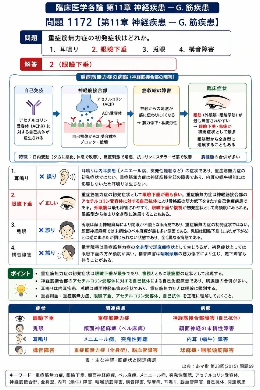あマ指 第23回(2015) 問題69｜重症筋無力症の初発症状はどれか。 解説図