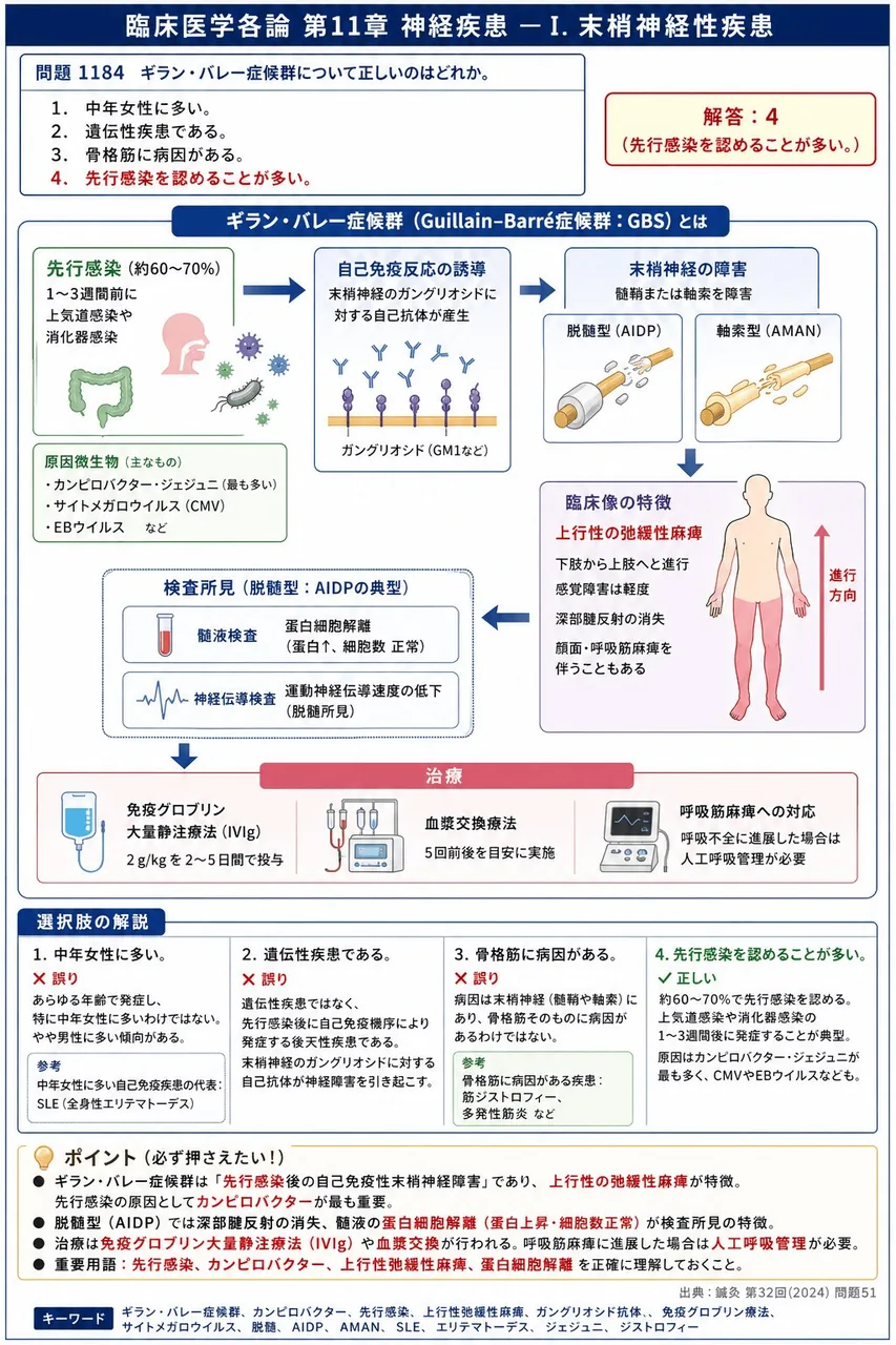 鍼灸 第32回(2024) 問題51｜ギラン・バレー症候群について正しいのはどれか。 解説図