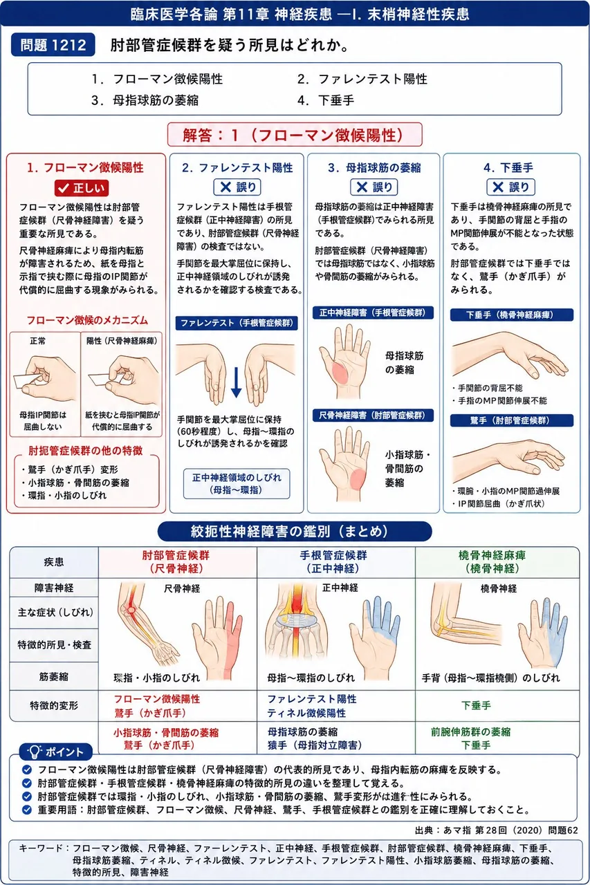 あマ指 第28回(2020) 問題62｜肘部管症候群を疑う所見はどれか。 解説図