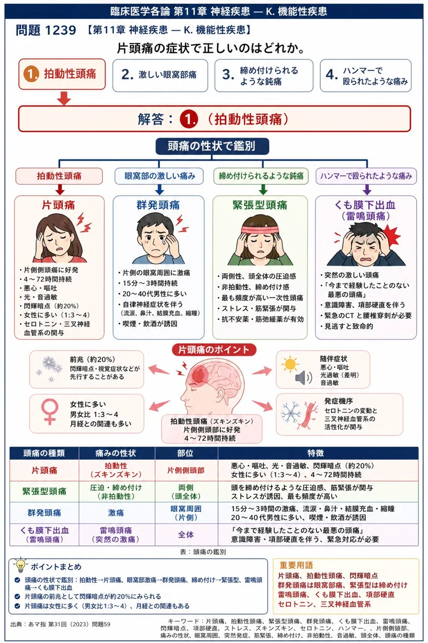 あマ指 第31回(2023) 問題59｜片頭痛の症状で正しいのはどれか。 解説図