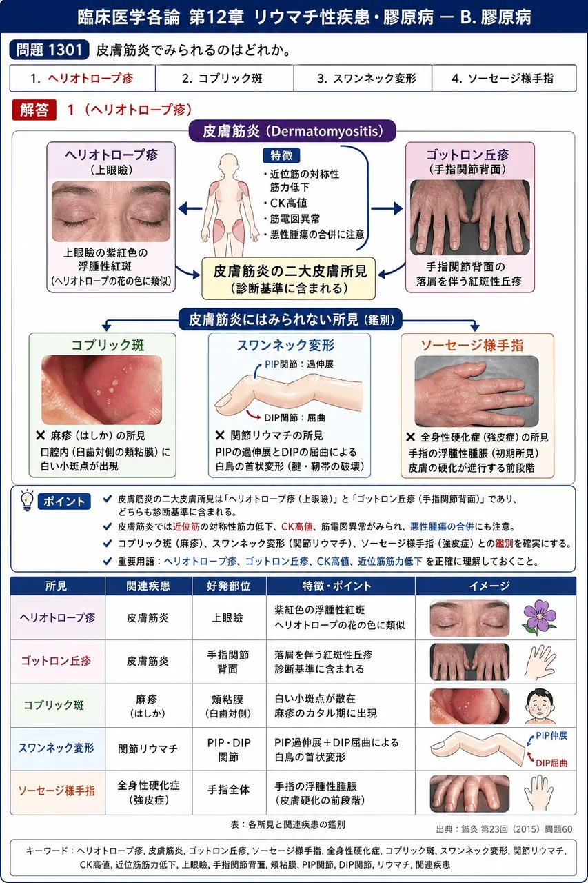 鍼灸 第23回(2015) 問題60｜皮膚筋炎でみられるのはどれか。 解説図