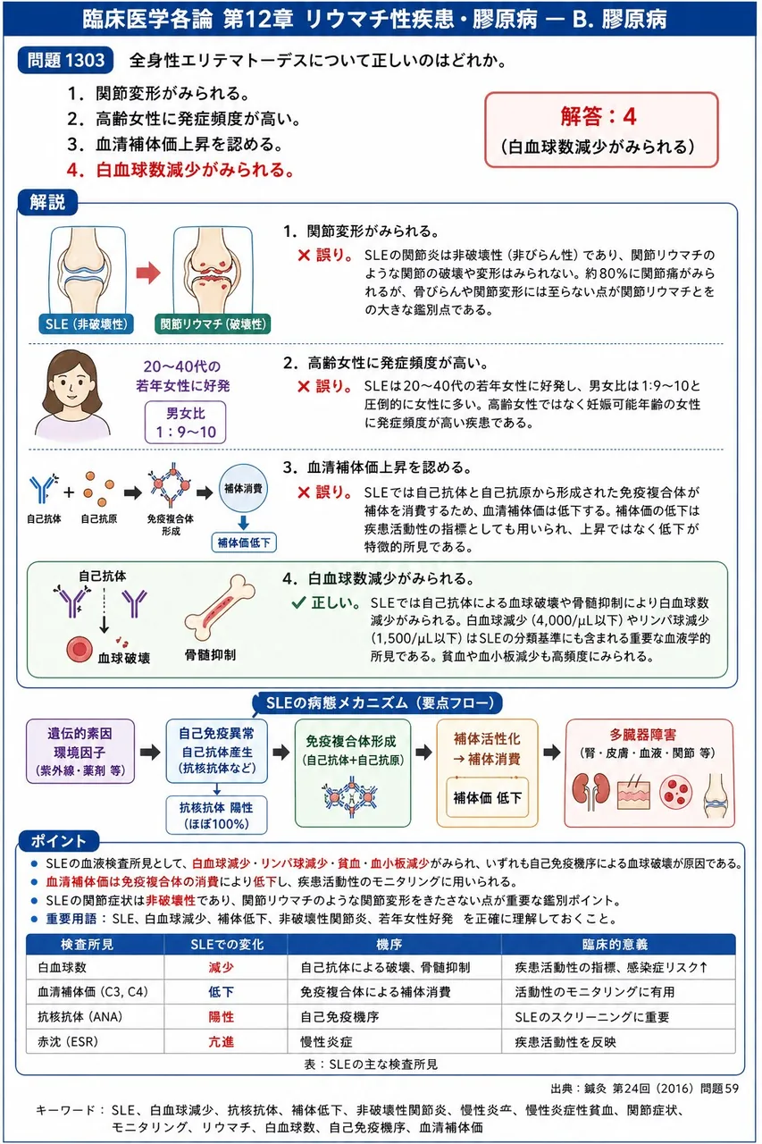 鍼灸 第24回(2016) 問題59｜全身性エリテマトーデスについて正しいのはどれか。 解説図