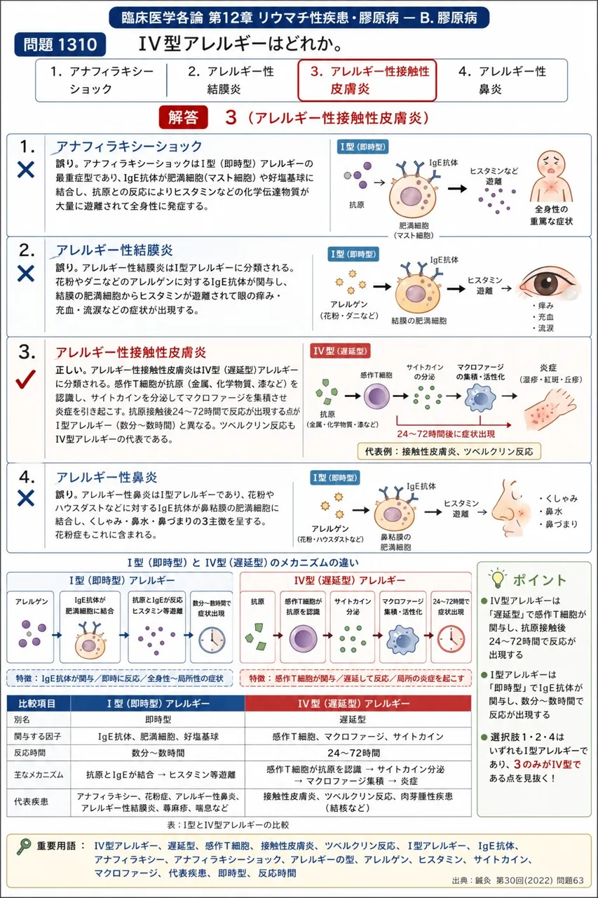 鍼灸 第30回(2022) 問題63｜IV型アレルギーはどれか。 解説図