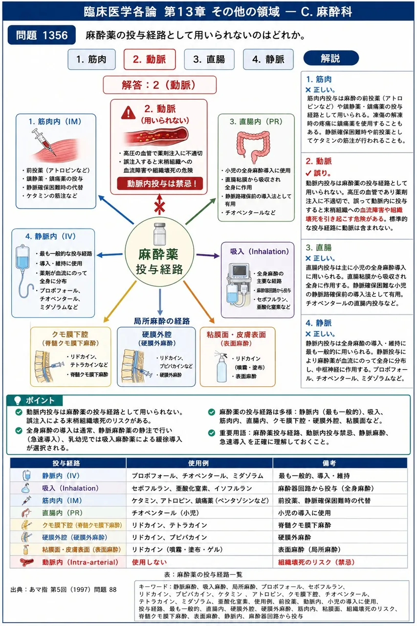 あマ指 第5回(1997) 問題88｜麻酔薬の投与経路として用いられないのはどれか。 解説図