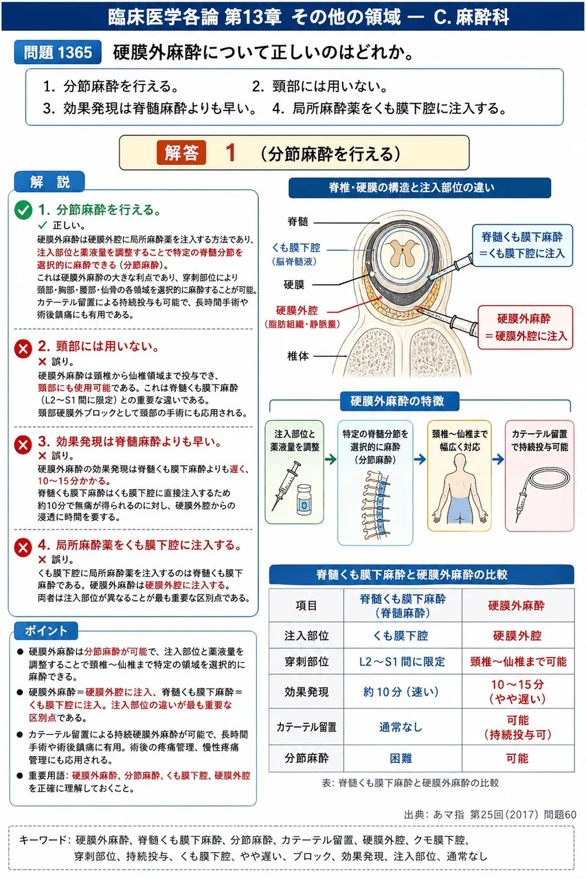 あマ指 第25回(2017) 問題60｜硬膜外麻酔について正しいのはどれか。 解説図