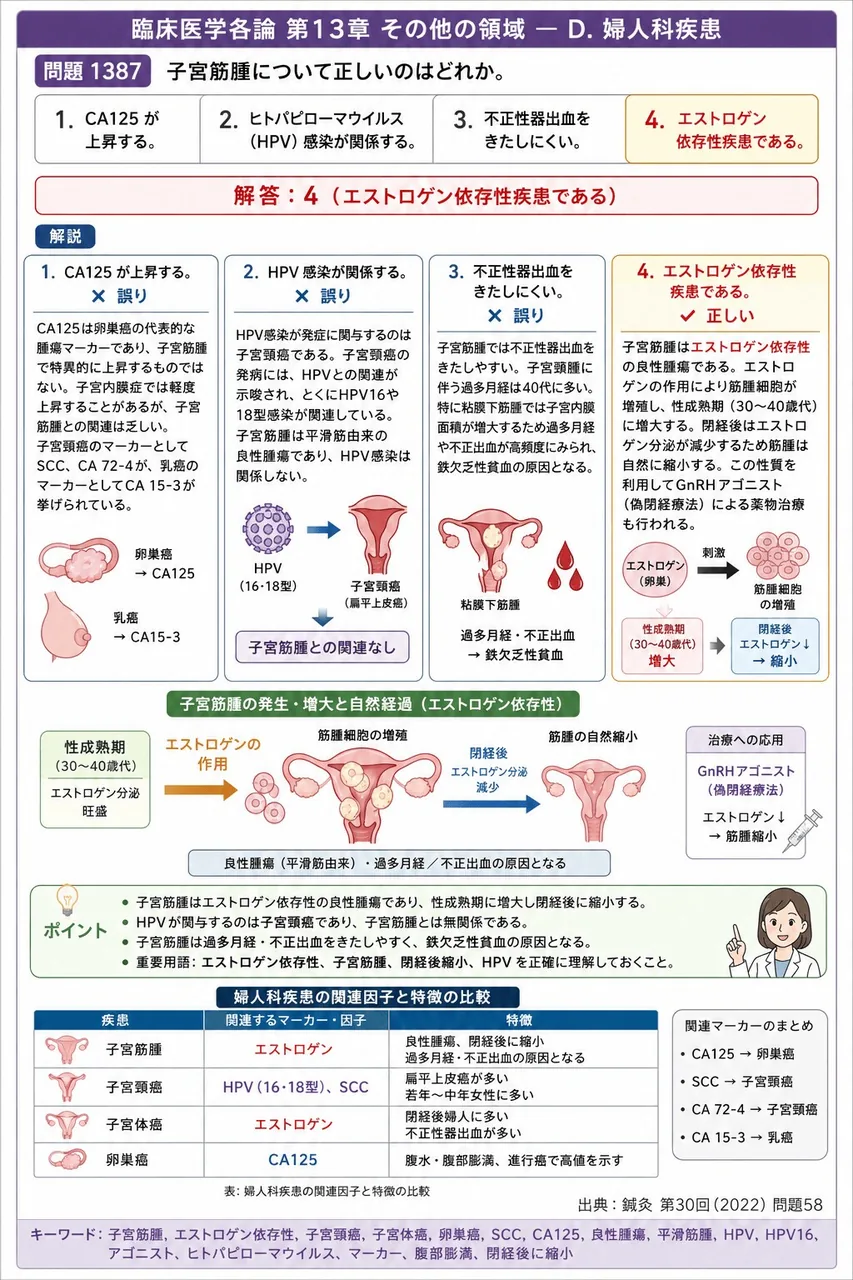 鍼灸 第30回(2022) 問題58｜子宮筋腫について正しいのはどれか。 解説図