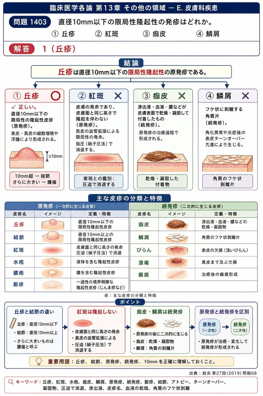鍼灸 第27回(2019) 問題68｜直径10mm以下の限局性隆起性の発疹はどれか。 解説図