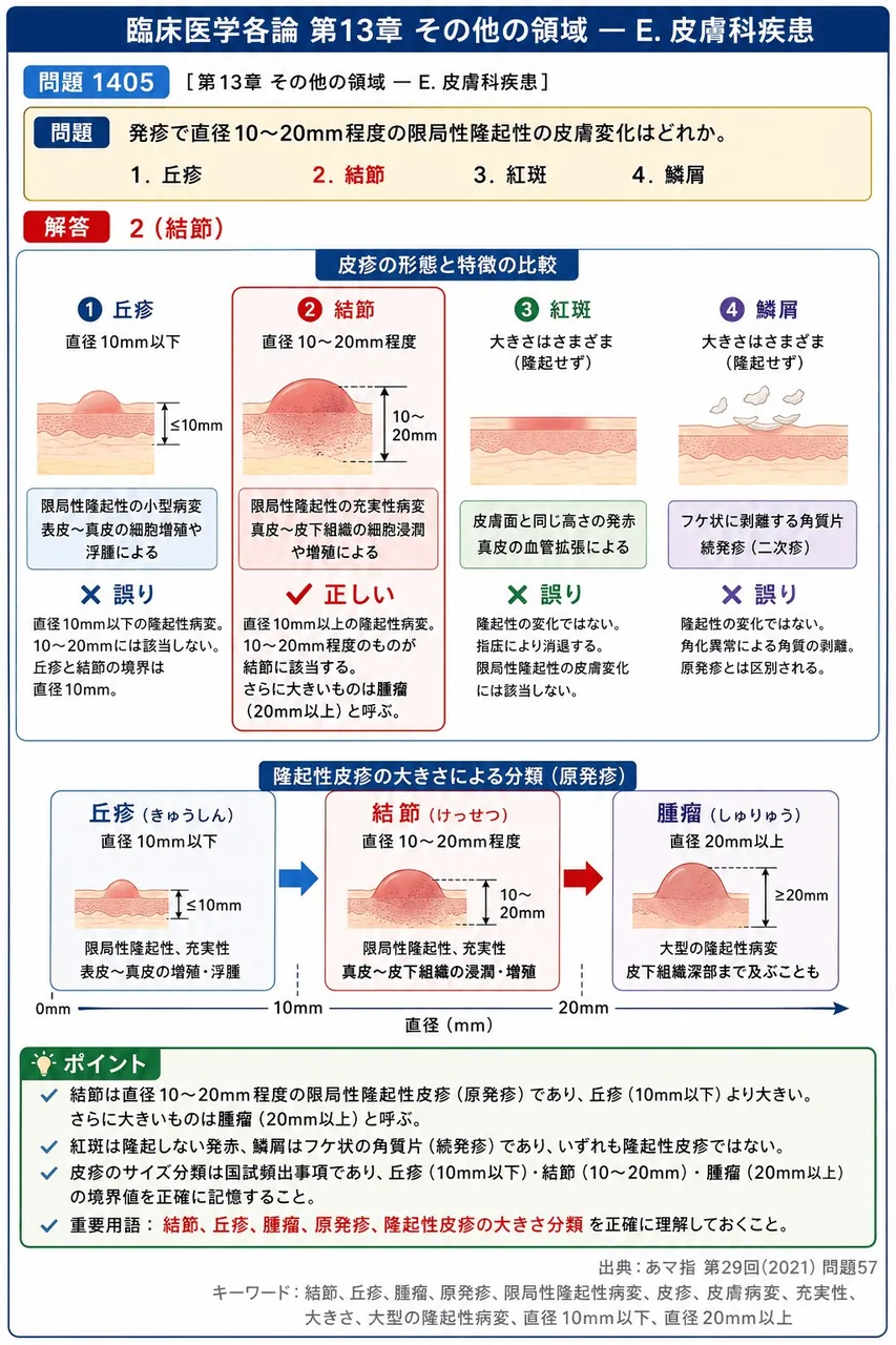 あマ指 第29回(2021) 問題57｜発疹で直径10～20mm程度の限局性隆起性の皮膚変化はどれか。 解説図