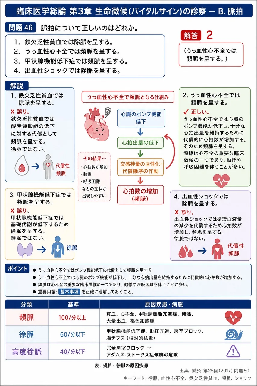 鍼灸 第25回(2017) 問題50｜脈拍について正しいのはどれか。 解説図