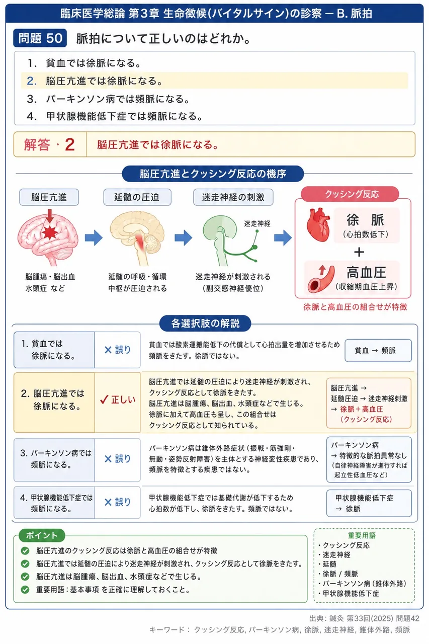鍼灸 第33回(2025) 問題42｜脈拍について正しいのはどれか。 解説図