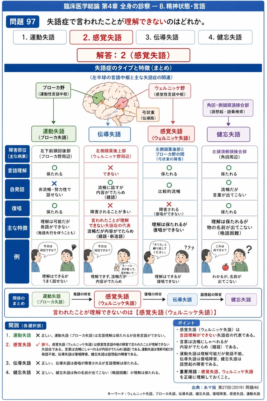 あマ指 第27回(2019) 問題46｜失語症で言われたことが理解できないのはどれか。 解説図