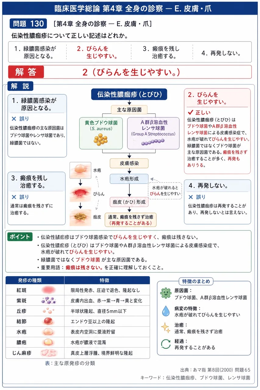 あマ指 第8回(2000) 問題65｜伝染性膿痂疹について正しい記述はどれか。 解説図