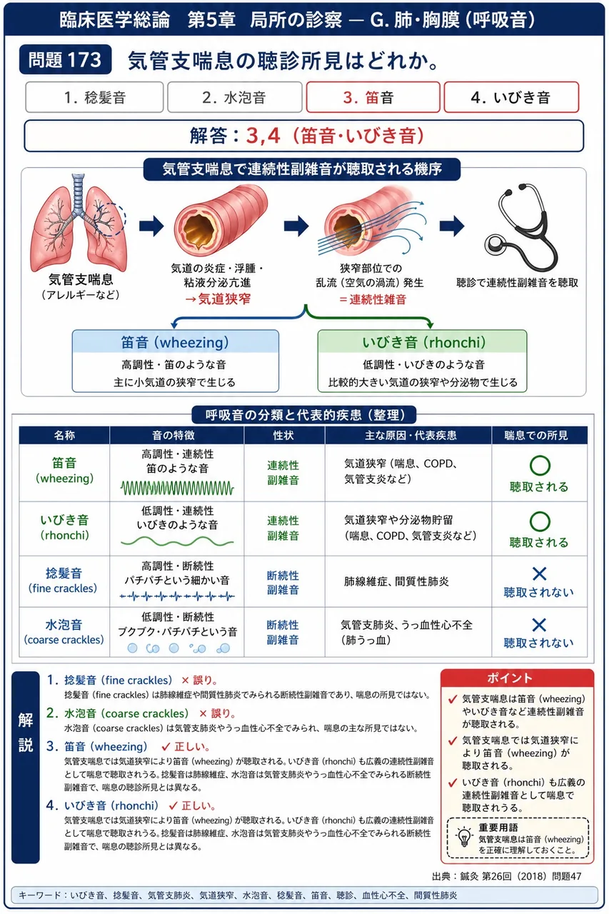 鍼灸 第26回(2018) 問題47｜気管支喘息の聴診所見はどれか。 解説図