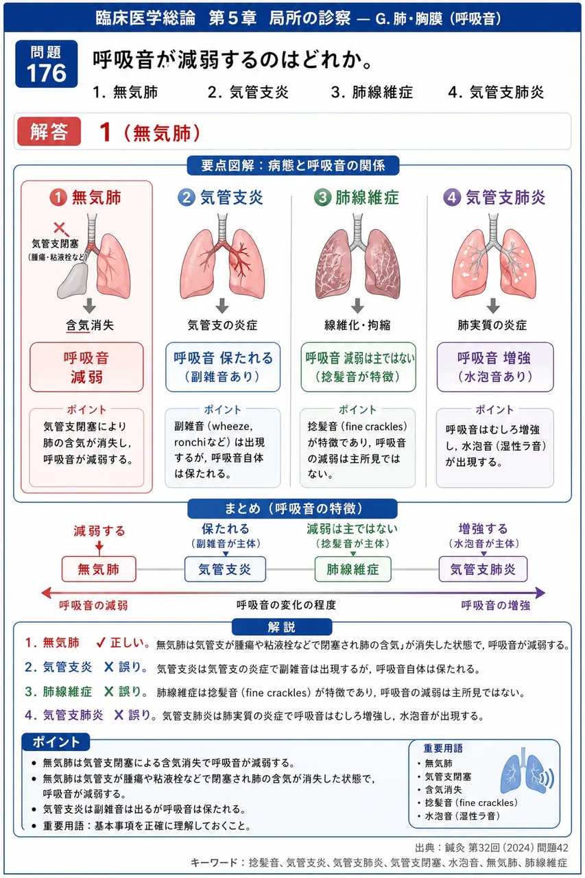 鍼灸 第32回(2024) 問題42｜呼吸音が減弱するのはどれか。 解説図