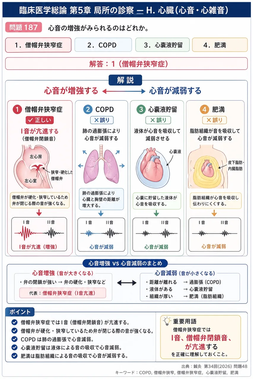 鍼灸 第34回(2026) 問題48｜心音の増強がみられるのはどれか。 解説図