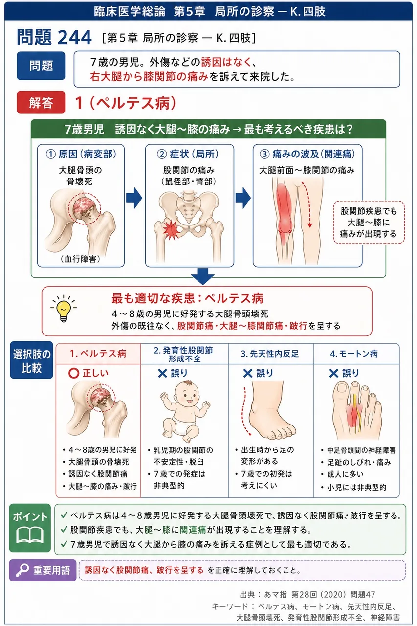 あマ指 第28回(2020) 問題47｜次の文で示す症例で最も適切な疾患はどれか。「7歳の男児。外傷などの誘因はなく、右大腿から膝関節の痛みを訴えて来院した。」 解説図