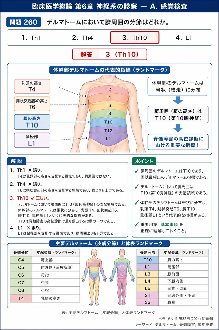 あマ指 第32回(2024) 問題45｜デルマトームにおいて臍周囲の分節はどれか。 解説図